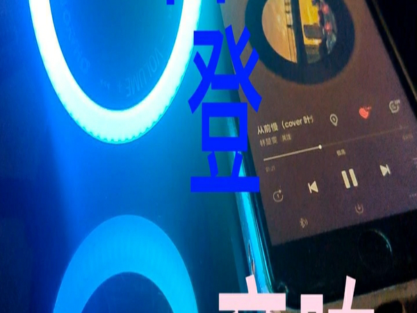 便携式蓝牙音响，享受户外活动的每一刻！