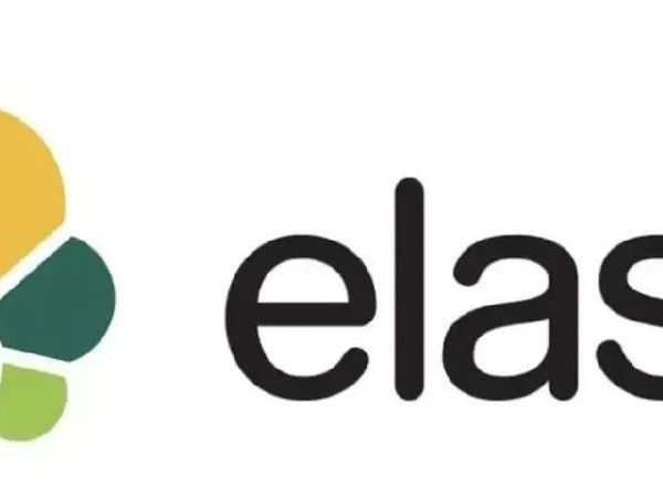 最新Java Elasticsearch 7.x(7.10)教程(二)-Rest API Test
