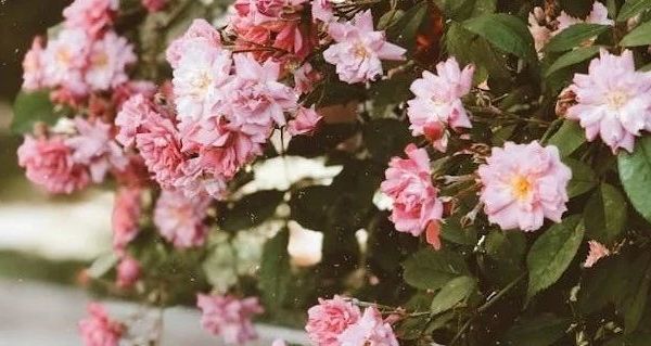 冬季户外必备！多款雪地靴功能价格等多维度对比