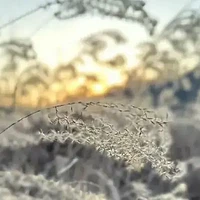 寒假之初的杭州临安泡温泉、滑雪之旅