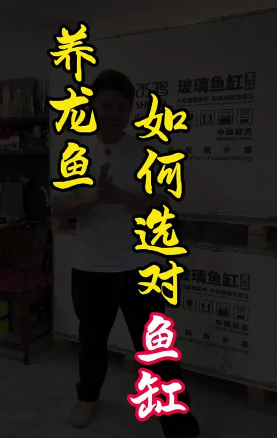 养龙鱼要先选对一口缸看看这个缸你会喜欢吗？ #观赏鱼 #龙鱼 #鱼缸 #开缸 #养鱼日记 @DOU+上热门