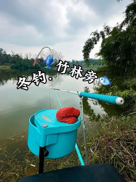 冬钓 竹林旁 #原来钓鱼才是抖音运动顶流 #dou来钓鱼 #渔之源怪兽小综合 #蓝鲫青春版