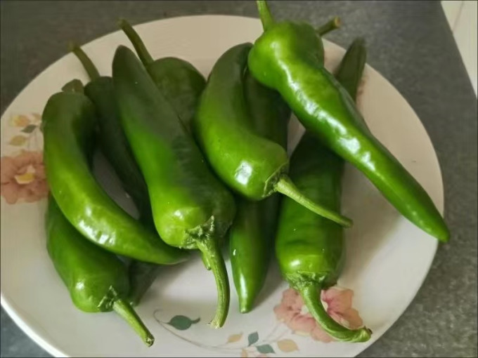 蔬菜
