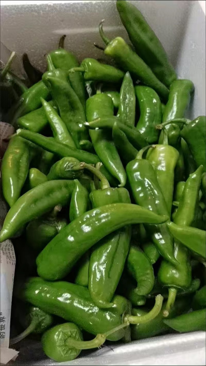 蔬菜