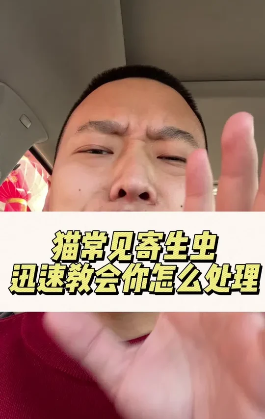 猫常见寄生虫迅速教会你怎么处理！#养猫人 #科学养宠攻略 #新手养猫