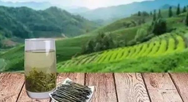 祁门红茶哪个牌子最值得购买，祁门红茶选购指南：哪个牌子最值得购买并品尝？