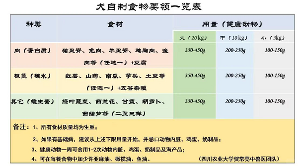 宠TA食谱，过年给毛孩子吃点好的