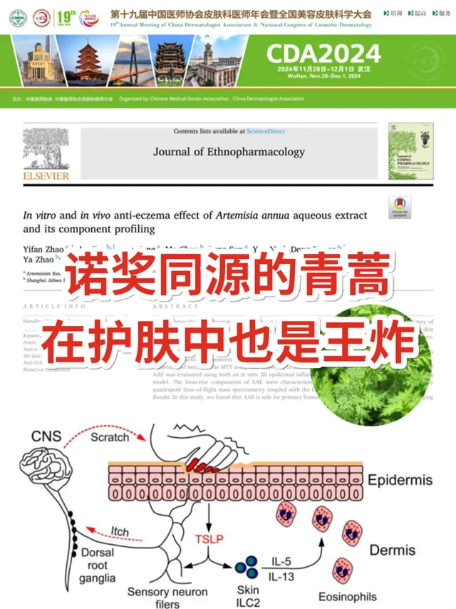 诺奖同源的青蒿，在护肤中也是王炸