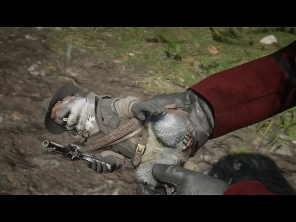 荒野大镖客日常养老