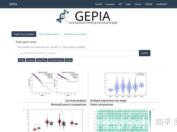 推荐收藏！高分生信文章必不可少的8个基因数据库！