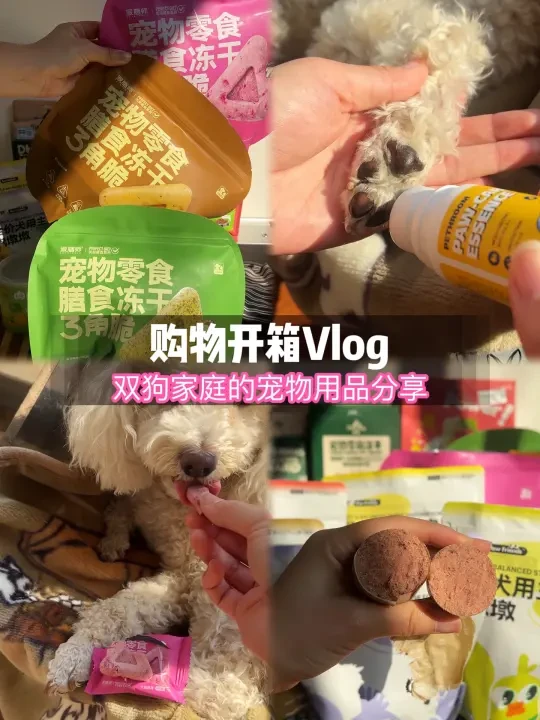 双狗家庭的宠物用品购物分享🛒