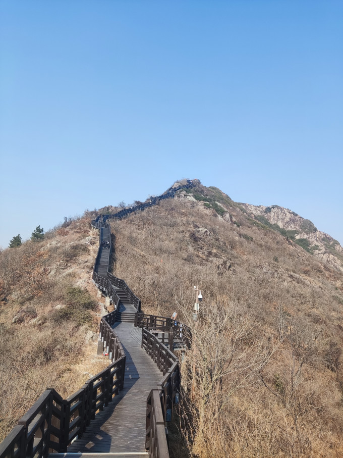 迪卡侬手杖