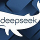 DeepSeek：AI领域的颠覆者与六代机并驾齐驱的影响力