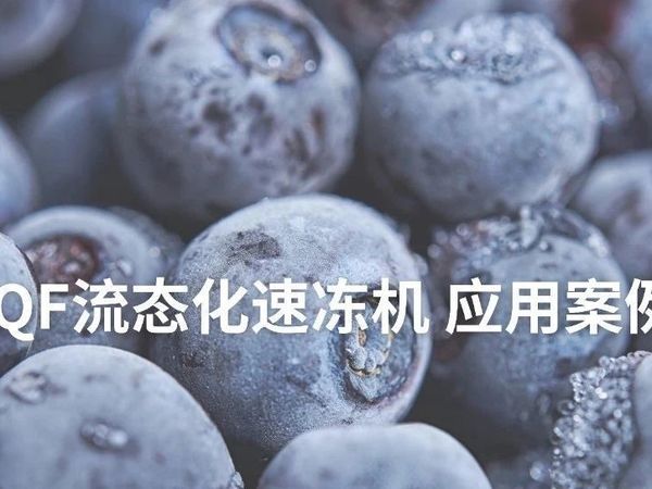 AGF — IQF应用案例