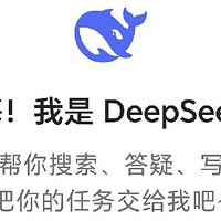 好用到爆！国产AI软件DeepSeek了解一下