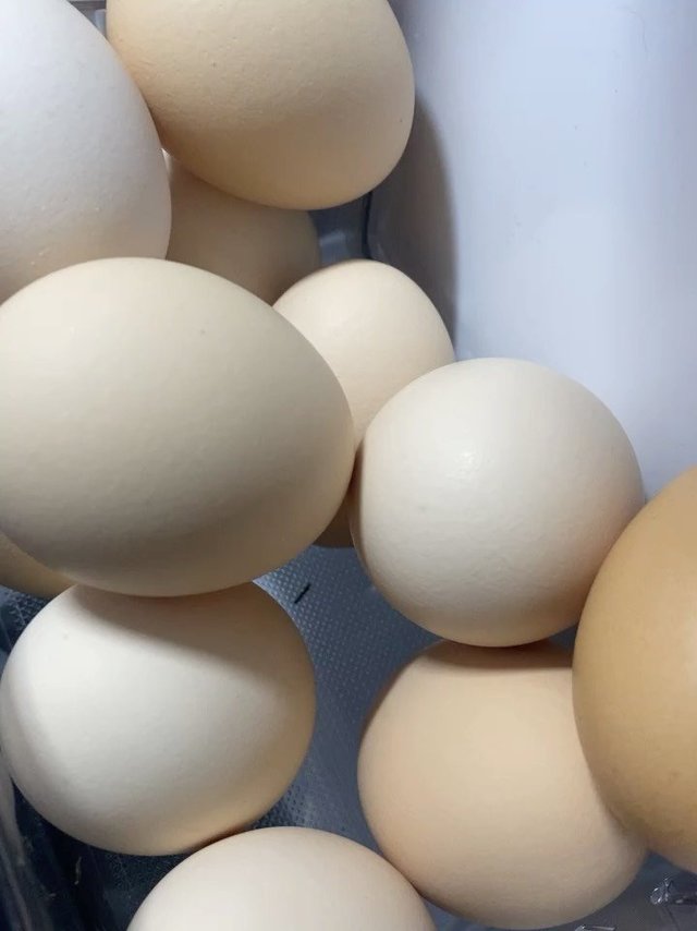 买了好多次了，基本收到的还是不错的