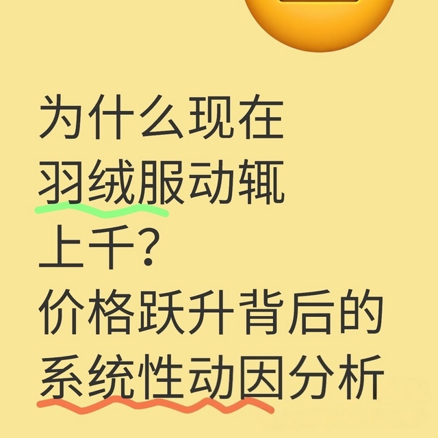 为什么现在羽绒服动辄上千？价格跃升背后的系统性动因分析