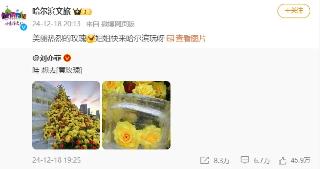 19元“刘亦菲同款发夹”卖断货,宝格丽设计师破防了