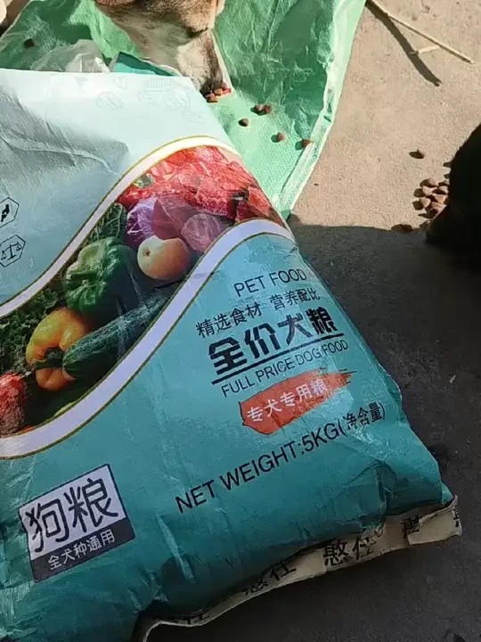大年初一早上，每条狗狗有份，吃好狗粮要喝水，土狗通用狗粮5斤、10斤、20斤、柴犬、田园犬、小鹿犬、成犬、幼犬、美毛壮骨狗粮！我又回购了，小年夜到的！喜欢直接左下角小黄车去拍#我的生活日记 #我家毛孩