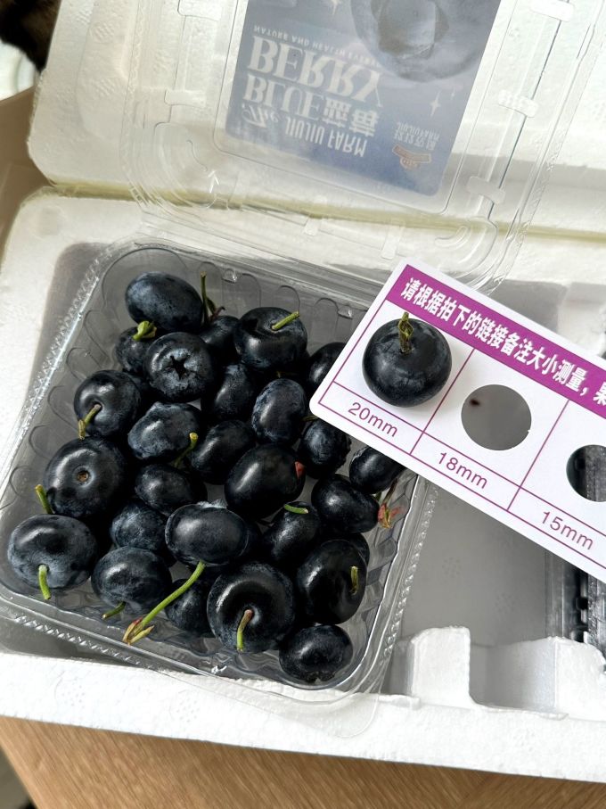 佳农新鲜水果