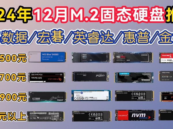 2024年12月版 | 固态硬盘/选购指南/性价比选择推荐［NVMe PCIe3.0 PCIe4.0 电脑M.2接口高速度 稳定靠谱］致态 三星 铠侠 西数