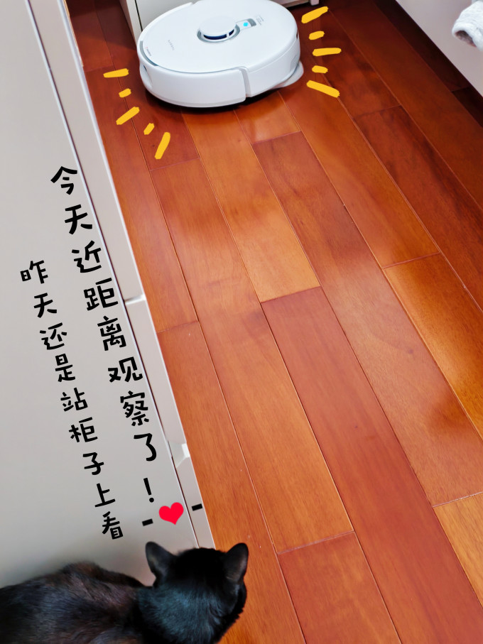 云鲸扫拖一体机