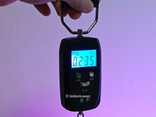 看B太不如自带，九块九迷你秤保你菜场纵横