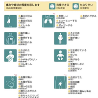 大S猝逝曝日本就医不便「中文就医指南」游日必看