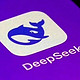 DeepSeek横空出世，中国AI领跑全球，这就是硬实力