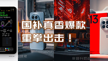 原价唯唯诺诺，国补我重拳出击，2025国补真香数码好物