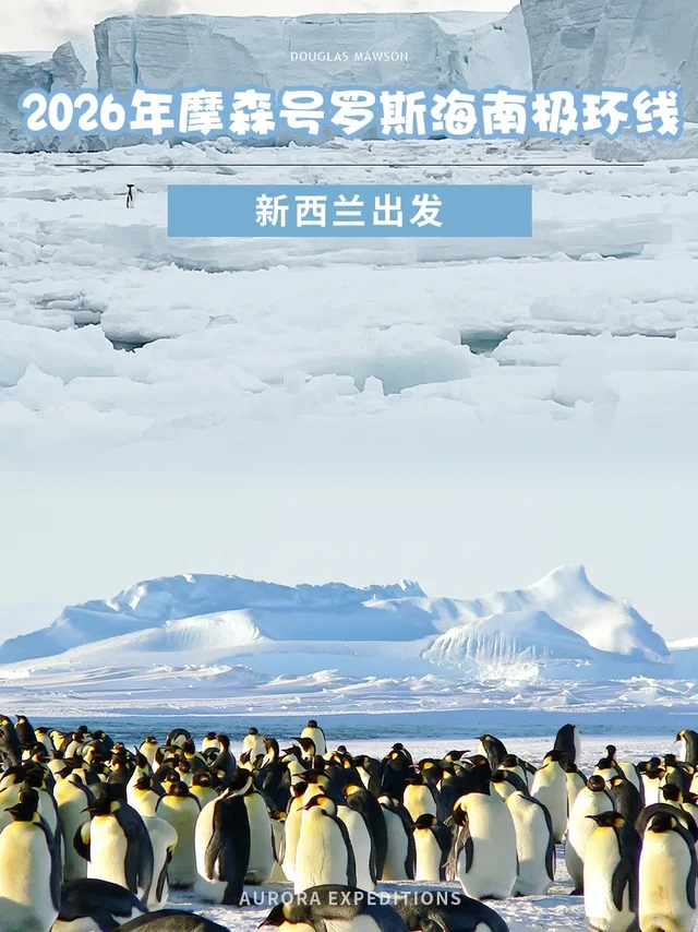 半环南极25天，新西兰出发，亚南极和罗斯海