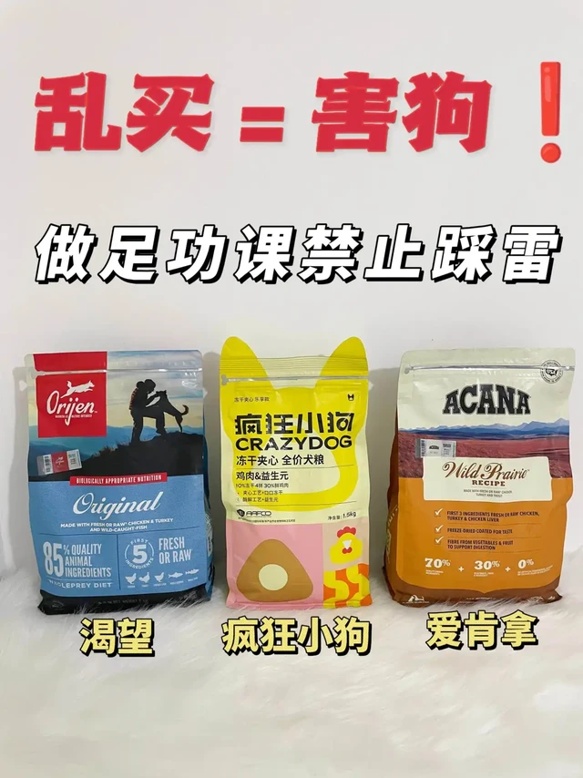 乱买=害狗❗做足功课禁止踩雷