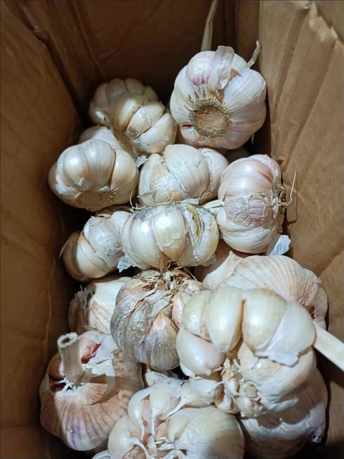 果玥蔬菜