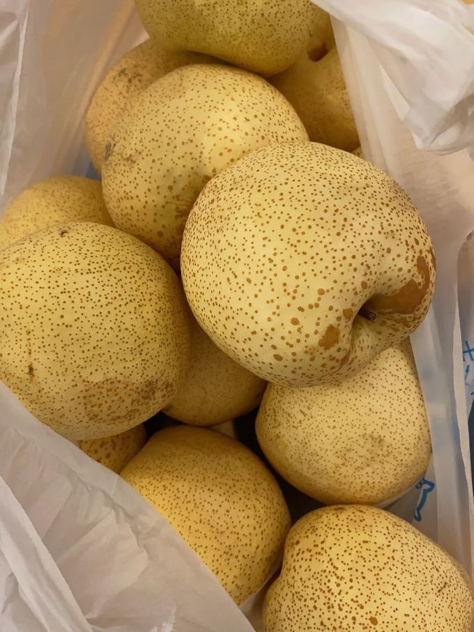 砀山酥梨其他水果
