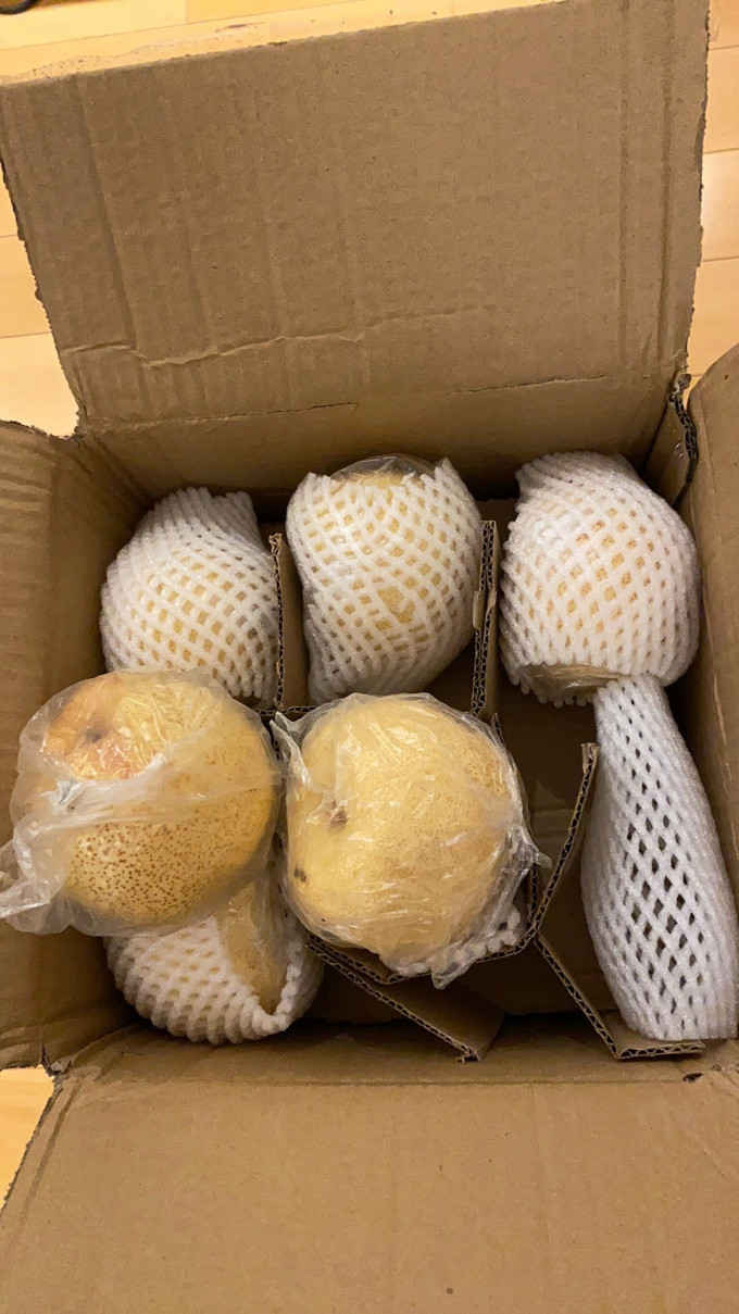 砀山酥梨其他水果