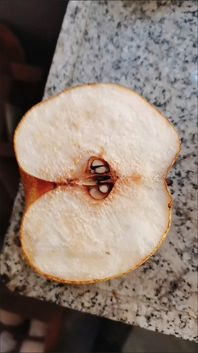 砀山酥梨其他水果