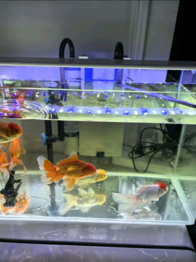 森森其他水族配件
