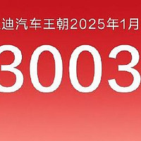 比亚迪一月销量直接冲破30万辆这是什么概念？妥妥的国产品牌销冠