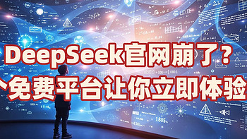 DeepSeek官网崩了？5个免费平台让你立即体验R1