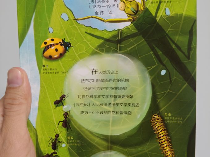 绘本/图画书