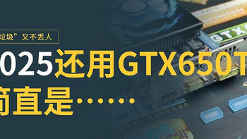 2025年我还捡GTX650TI来用，2025还值得买的百元显卡有哪些？