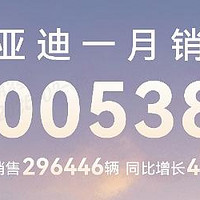 比亚迪1月再登中国销冠，开年就达成了300538辆的惊人成绩