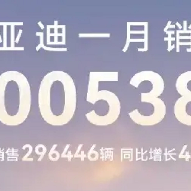 如何评价比亚迪1月再登中国销冠，开年就达成了300538辆的成绩？