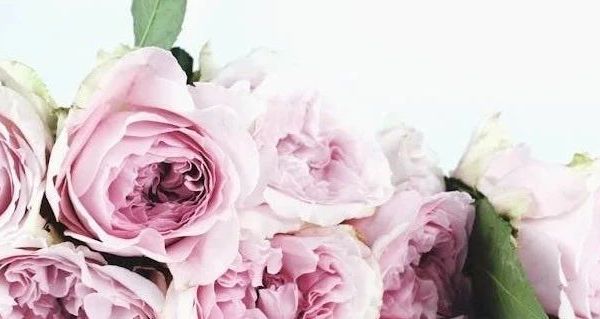 美式复古风潮来袭 马登工装CWU-45P夹克棉服魅力十足 秋冬男士的时尚之选