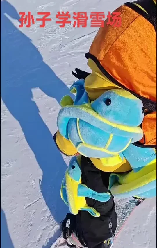 #记录旅游生活 外孙滑雪板。