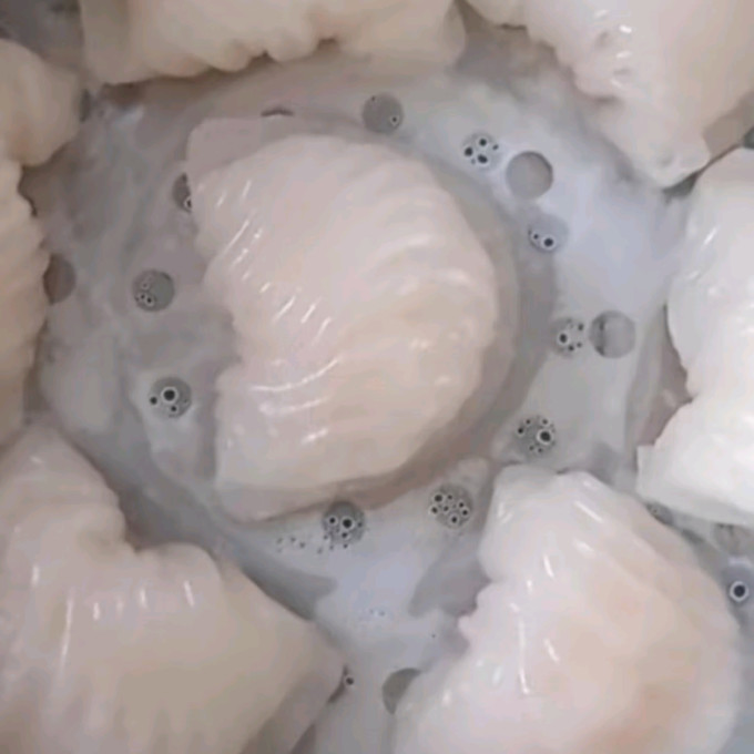 广州酒家其他面点