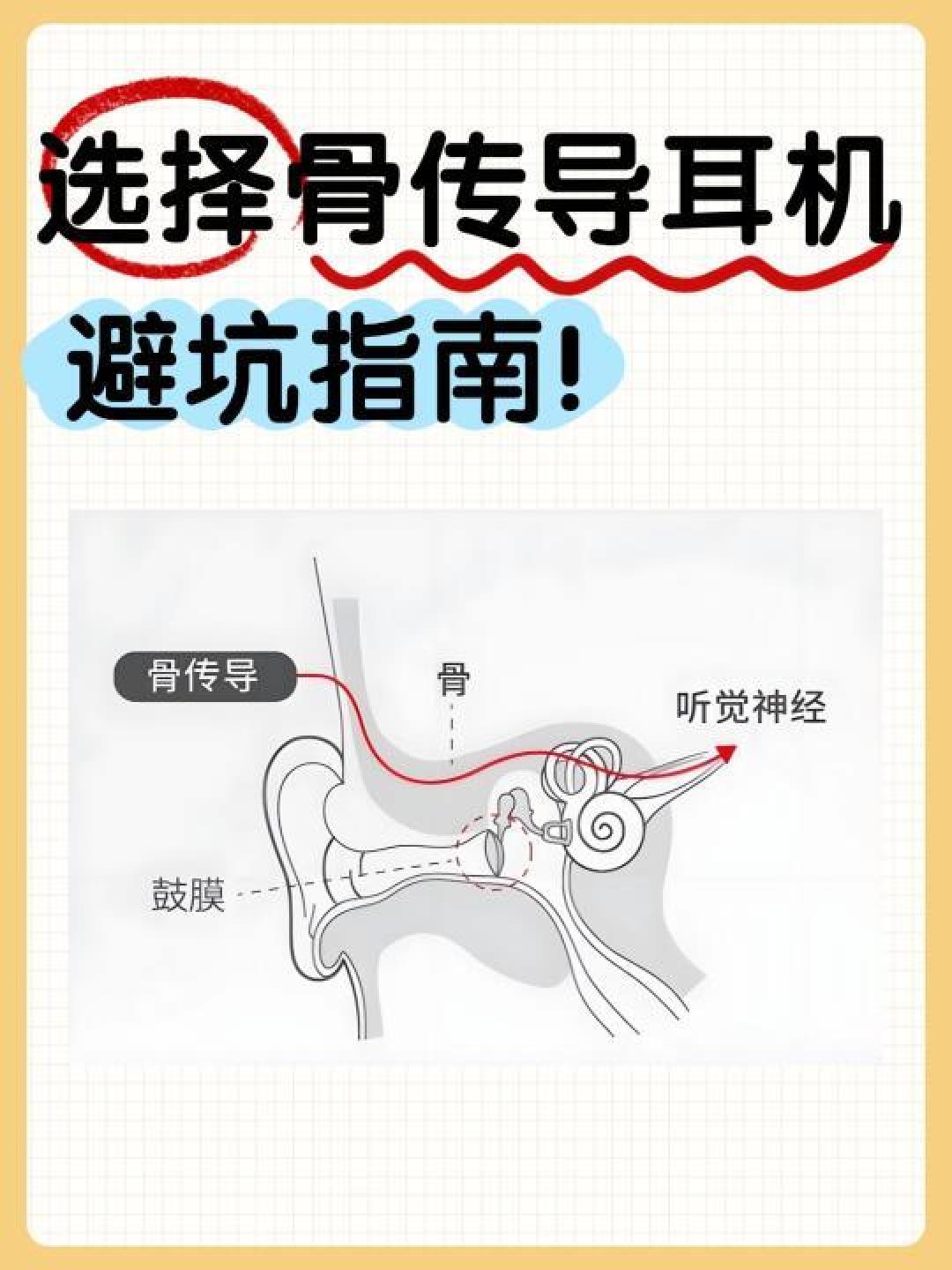 运动耳机怎么选?骨传导与入耳式谁更适合运动