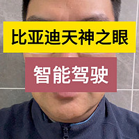 比亚迪智驾天神之眼即将发布