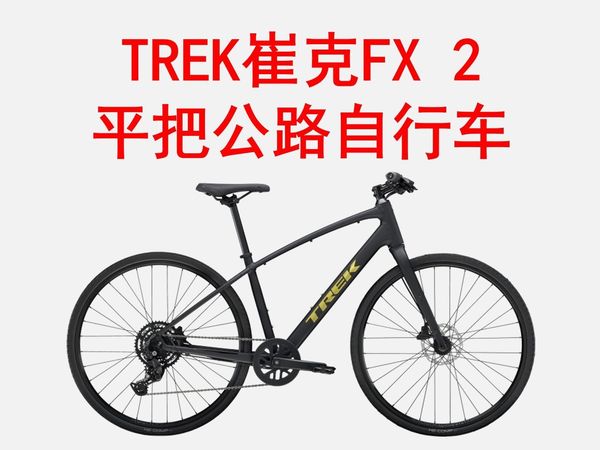 TREK崔克FX 2碟刹内走线轻量休闲通勤健身平把公路自行车 购买指南 选购推荐 山地车 公路车 自行车
