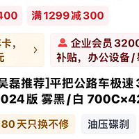 喜德盛平把公路车 极速380